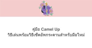 คู่มือ Camel Up วิธีเล่นพร้อมวิธีเซ็ตอัพกระดานสำหรับมือใหม่